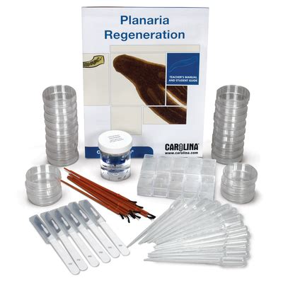 Planaria Regeneration Kit (with perishable) | Carolina Biological Supply