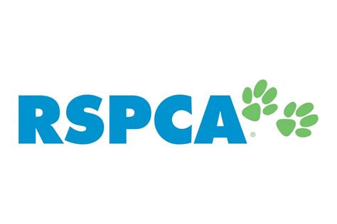 MBA students partner with RSPCA to improve service - Business School ...