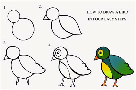 How To Draw A Bird Easy Double Headed Shart Attack Drawing Practice Let39s Learn To Draw photo ...