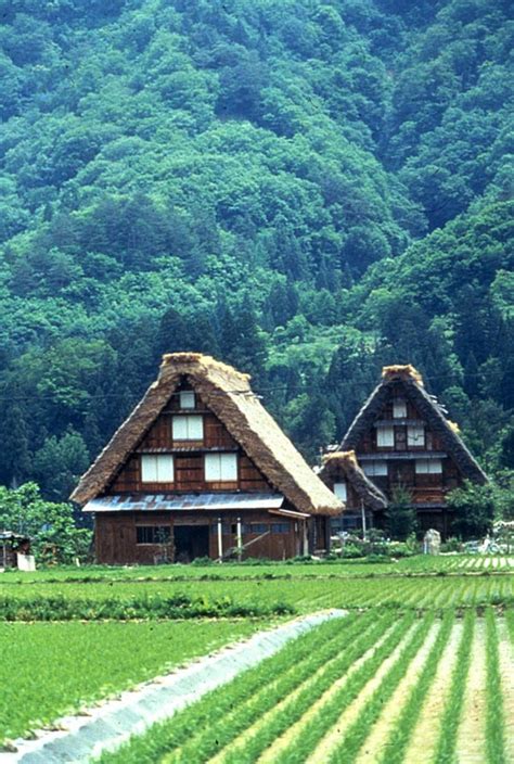 Shirakawa-go historic village, Gifu prefecture, Japan Photo