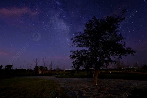 Background Pohon Besar Di Bawah Langit Bintang Di Malam Hari, Pemandangan Malam, Langit ...