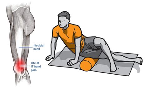 Muscle Therapy Foam Roller | The Average Consumer