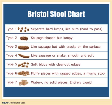 What Poop Says About Your Health According To The Poop Chart | Images and Photos finder