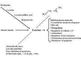 Side Effects of Taurine - Assignment Point