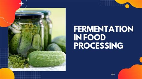 What Are The Different Types Of Fermentation In Food Processing ...