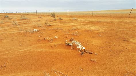 New extremes in store for Sunraysia, says climate report