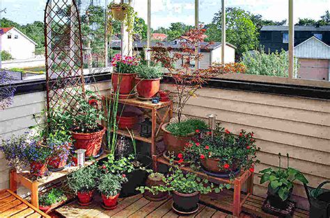 How to Create a Balcony Garden