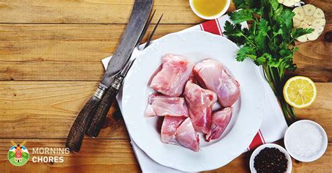 How to Butcher a Rabbit Humanely in 6 Quick and Easy Steps