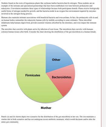 Answered: a. Firmicutes Other Bacteroidetes… | bartleby