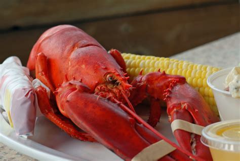 Top 10 Spots for Lobster on Cape Cod - Cape Cod Vacation Rentals Blog