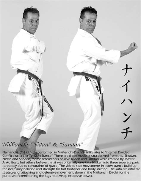 Pin by Tanzadeh Shitokai on Shito-ryu karate | Karate martial arts ...