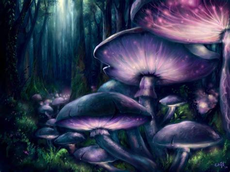 Mushroom Forest Wallpapers - Top Free Mushroom Forest Backgrounds ...