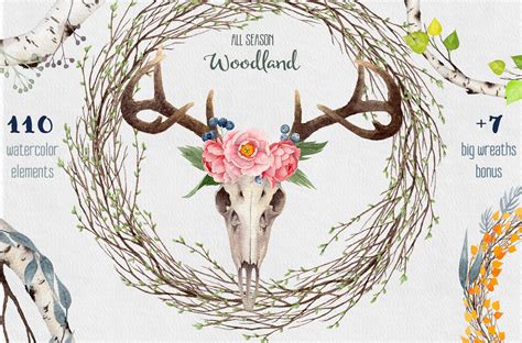 30% OFF Watercolor Woodland ~ Illustrations ~ Creative Market