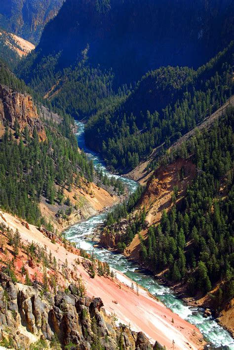 Grand Canyon - Yellowstone Nation Park | National parks, Yellowstone national, Grand canyon