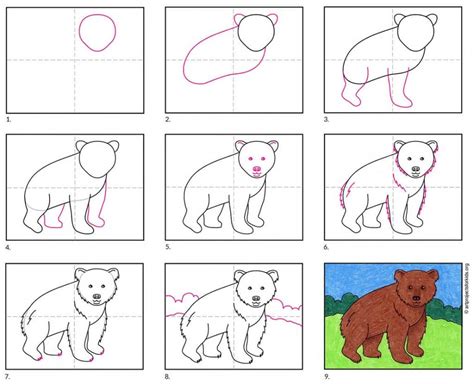 How To Draw Bear For Kids | Images and Photos finder