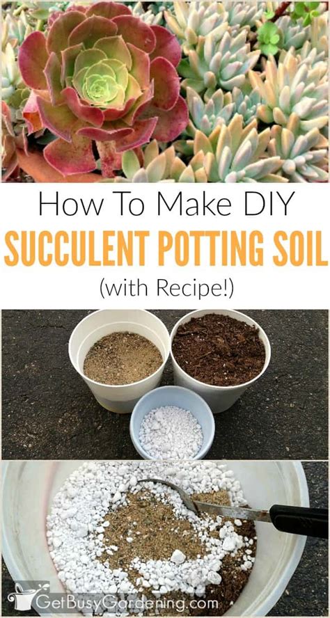 How To Make Your Own Succulent Soil (With Recipe!) - Get Busy Gardening