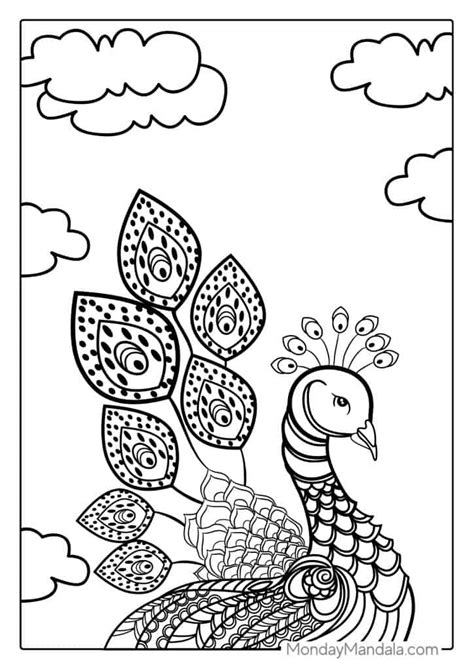 Peacock Coloring Pages For Adults