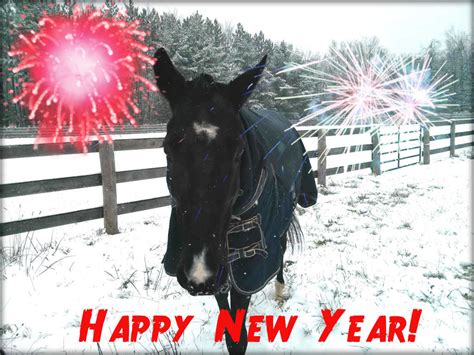 Happy New Year! – Horse Listening