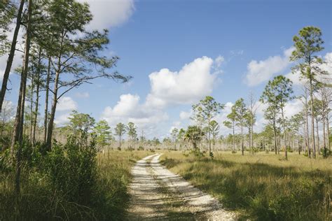 Hiking The Everglades Trails and Photographing Its Beautiful Environment