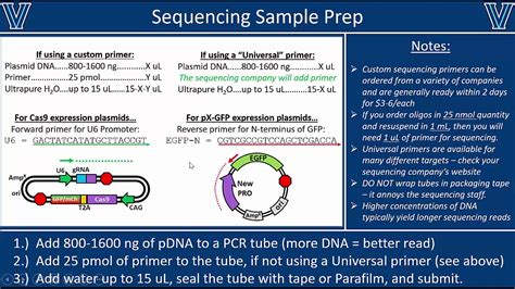 Sanger Sequencing - Sample Prep & Data Analysis with BLAST - YouTube