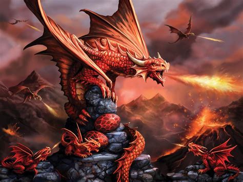 PRIME 3D puzzle 500 items: Fire dragon - 1001puzzle.com