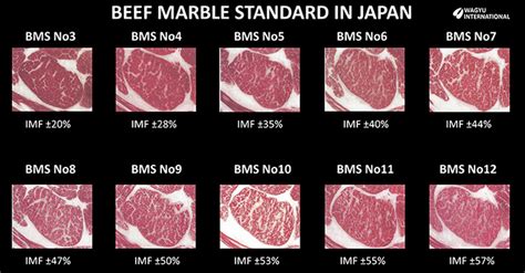 Wagyu Beef Grades Chart