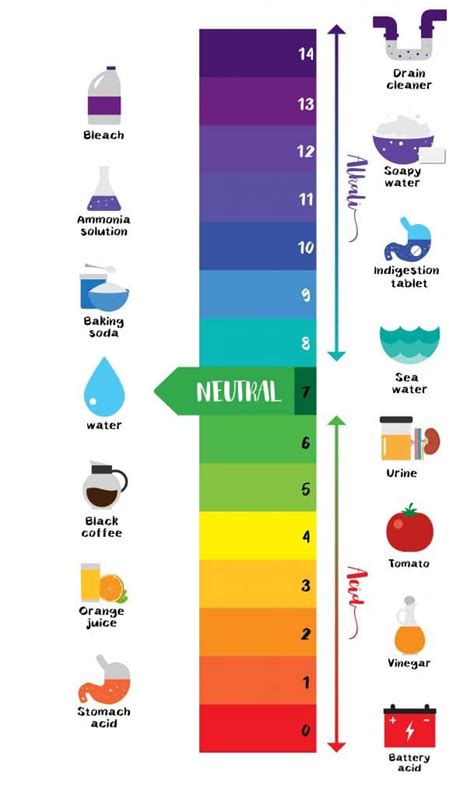 Explain The Ph Scale Acids And Bases