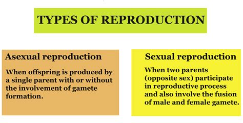 Reproduction In Organisms | GCSE Biology Revision Notes