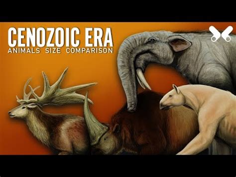 CENOZOIC ERA. Animals Size comparison. Paleoart