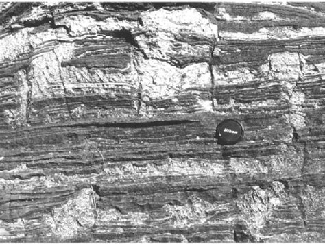 Figure 5 from Stromatolites in Precambrian carbonates: evolutionary mileposts or environmental ...