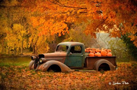 Yard Art 171 | Etsy | Autumn scenes, Autumn scenery, Fall facebook cover