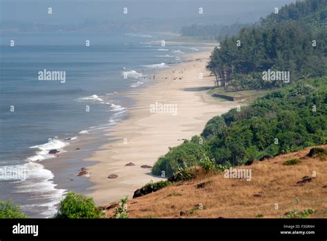 Ganpatipule beach ; District Ratnagiri ; Maharashtra ; India Stock Photo - Alamy