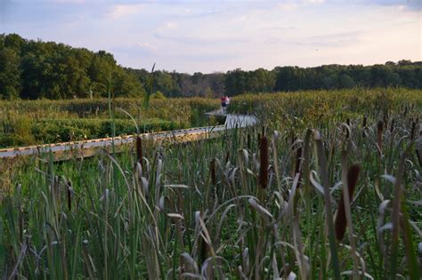 Trails could better connect Huntley Meadows Park, but planners are ...