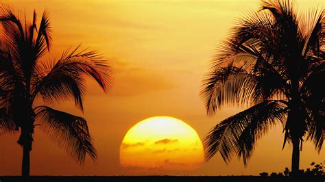 Hawaiian Sunset Background