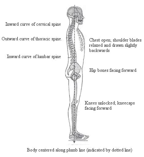 Build Your Foundation: A Look at Neutral Alignment - Andersonville Physical Therapy