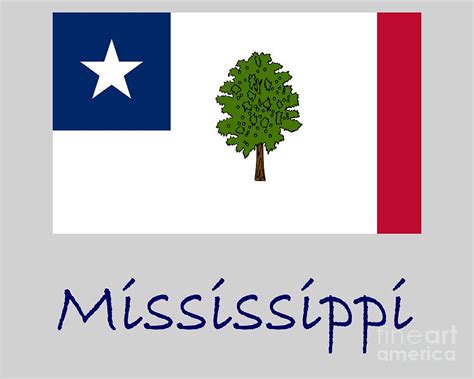 Mississippi Secession Flag Digital Art by Frederick Holiday - Pixels