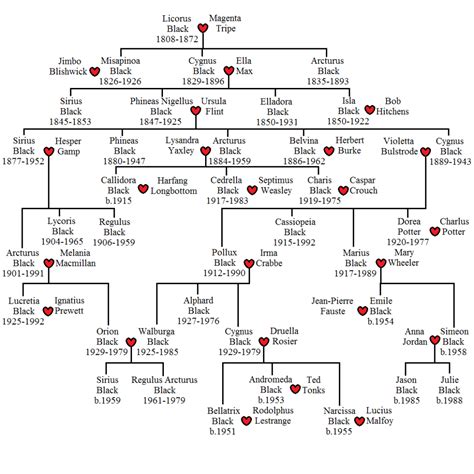 Black Family Tree Explained