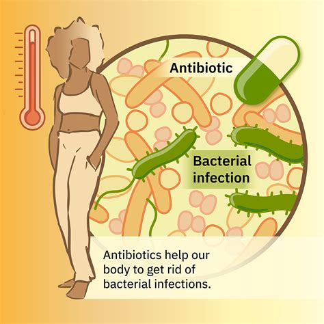 Tackling the collateral damage from antibiotics | EMBL