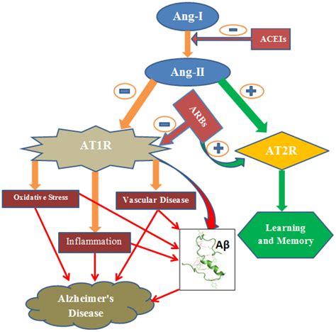 Frontiers | Targeting Renin–Angiotensin System Against Alzheimer’s Disease