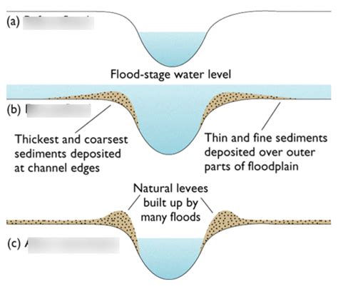 Levees Diagram | Quizlet