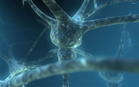 Neuron Wallpapers (52+ images)