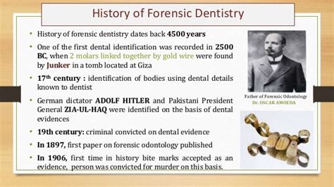 Forensic odontology