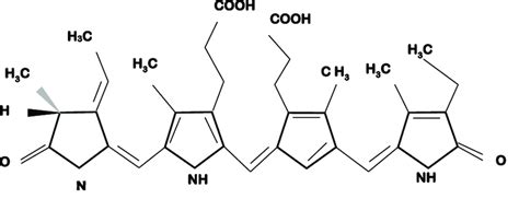 Phycocyanobilin structural representation. | Download Scientific Diagram