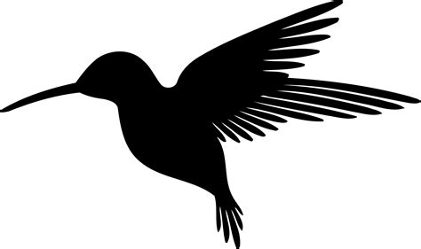 Black Silhouette Hummingbird Transparent Background - PNG Mart