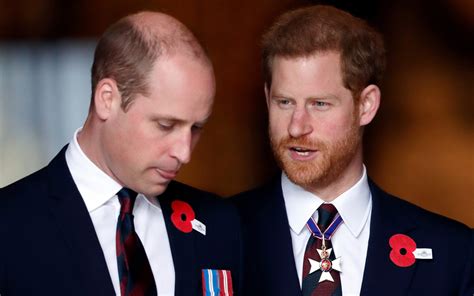 The King needs William – and now the Prince of Wales needs Harry