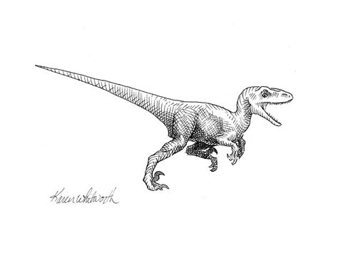 Raptor Dinosaur Decor Drawing Wall Art Prints Velociraptor Dinosaur ...