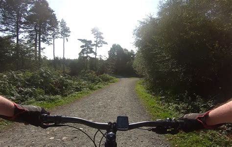 Delamere Forest, Cheshire | Mountain Bike Route | Out Biking