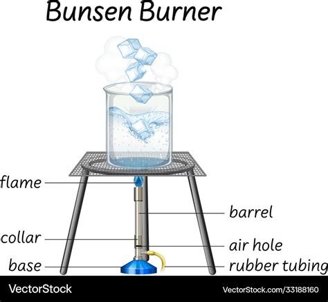 Science Bunsen Burner Diagram Royalty Free Vector Image | The Best Porn Website