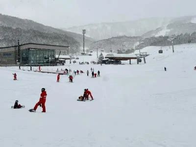 Niseko Snow Report | Japan Ski Experience