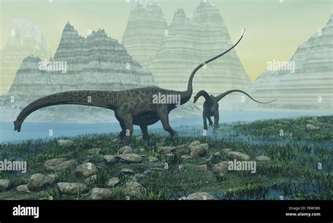 Diplodocus fossil hi-res stock photography and images - Alamy